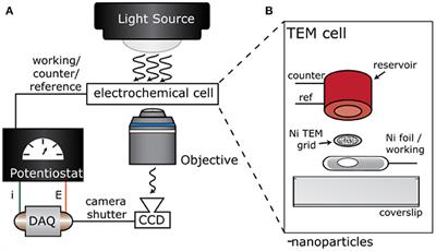 Local Substrate Heterogeneity Influences Electrochemical Activity of TEM Grid-Supported Battery Particles
